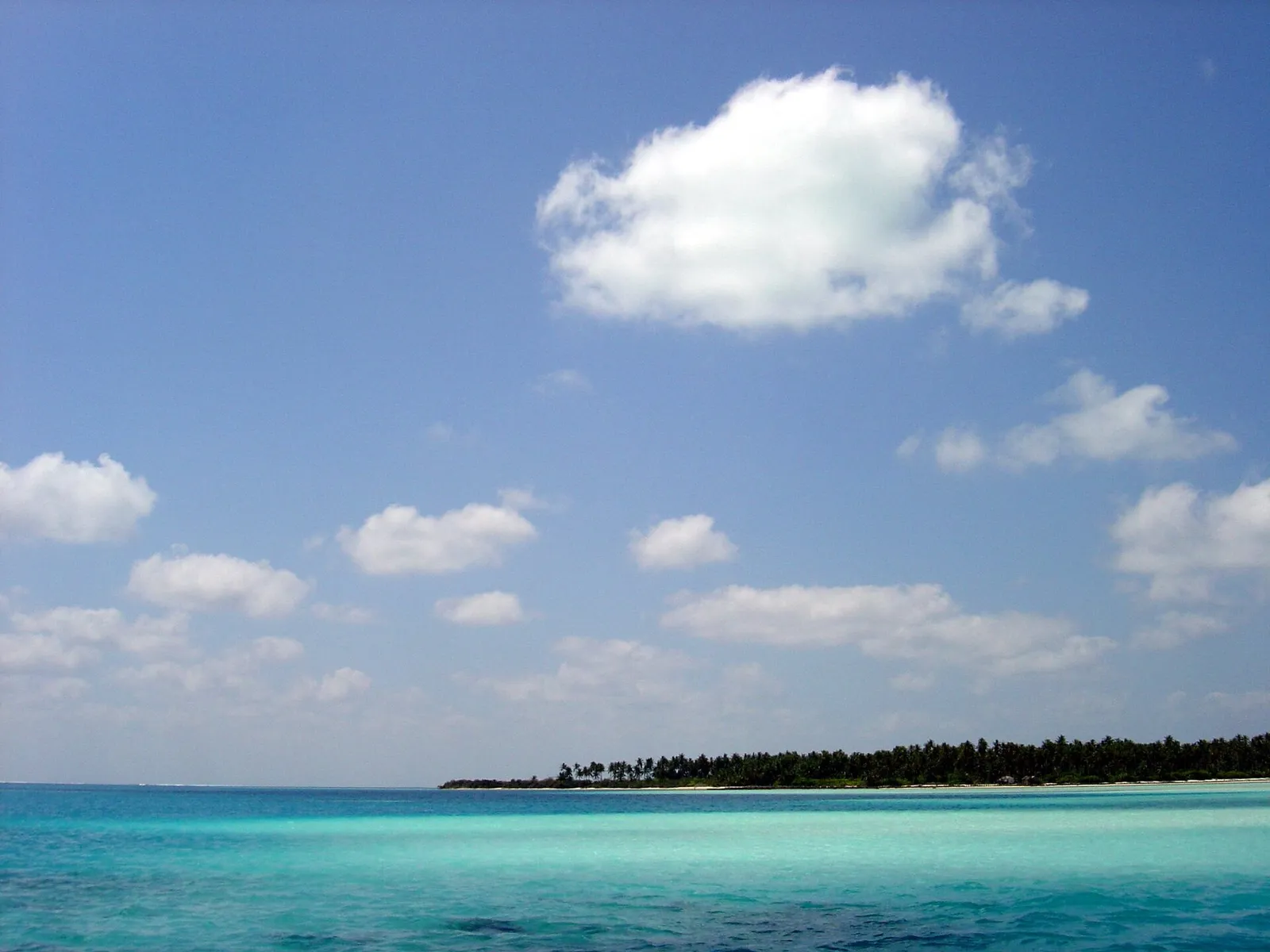 Turquoise shallows giving way to darker sea, with a low line of palms on the horizon