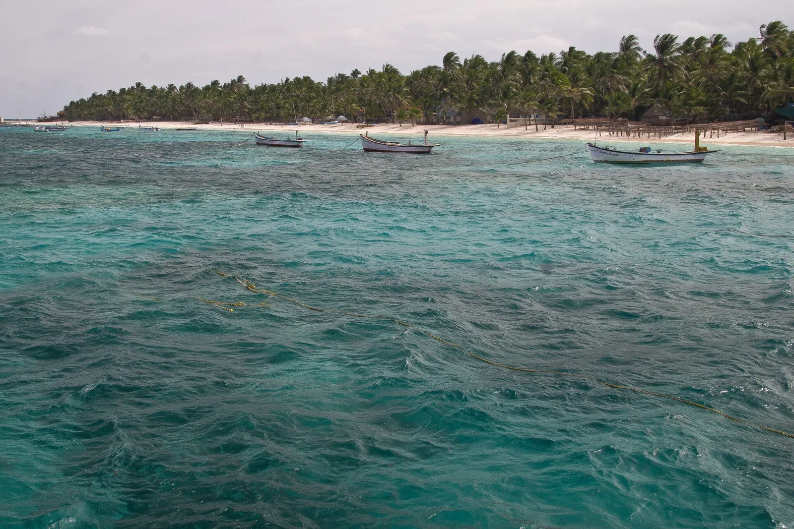 Green-blue lagoon with small boats moored off a coconut-palm shoreline